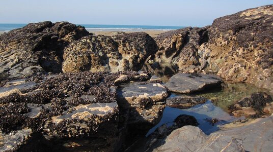 Rockpools at Tregardock beach