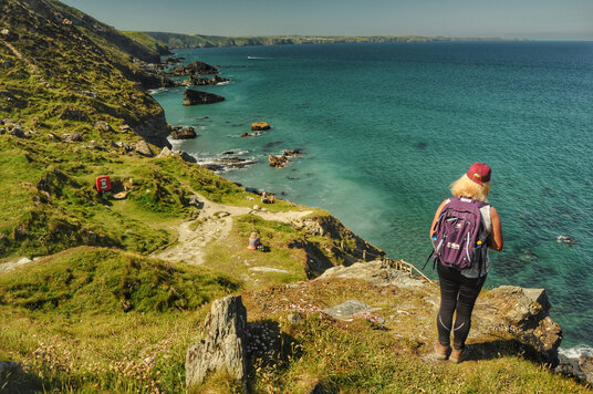 View along the coast from Tregardock