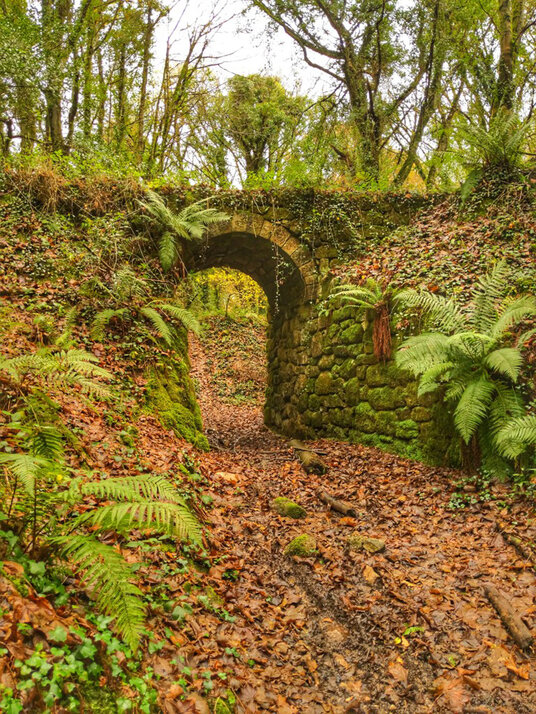 Bridge at Tregargus Valley