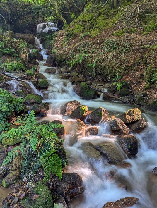 Stream in Tregargus valley