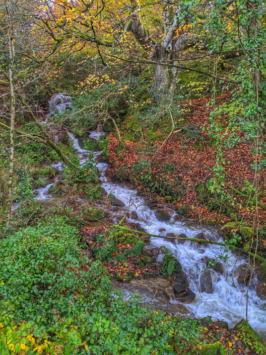 Waterfall at Tregargus Valley