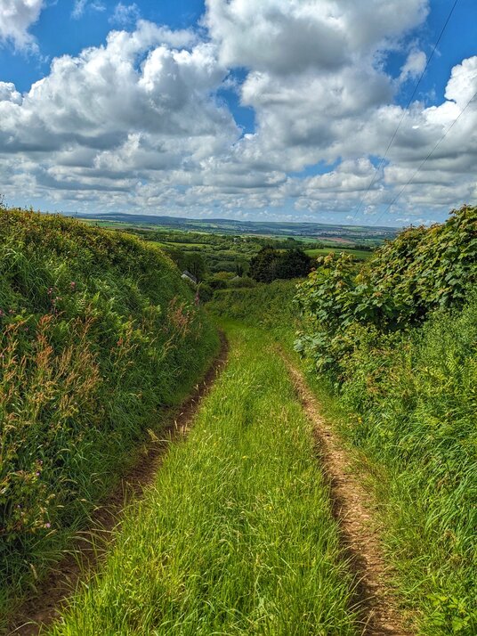 Track near Tregellist