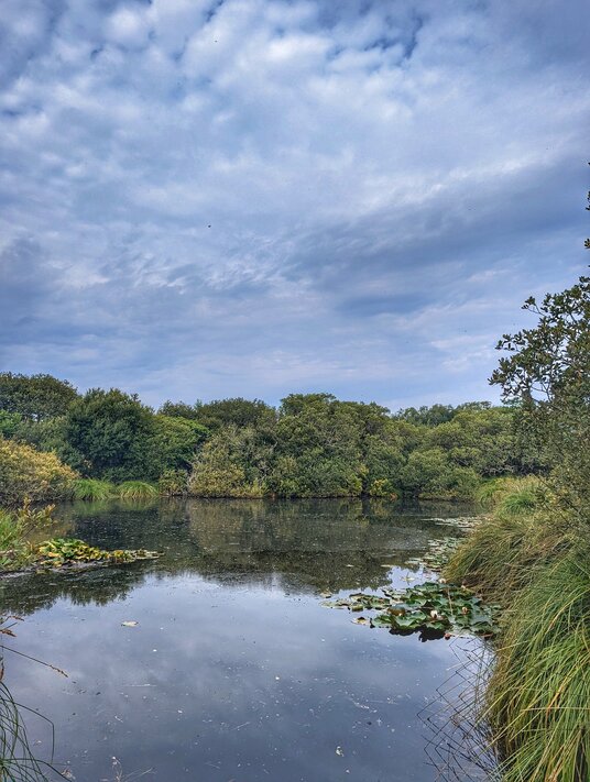 Lake near Tregembo
