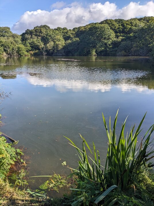 Lake near Tregembo