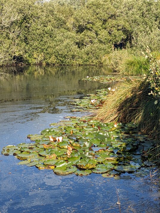 Lake near Tregembo