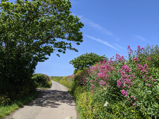 Tregirls Lane
