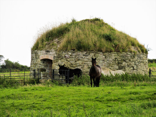 Beehive Kiln on Tregonning Hill