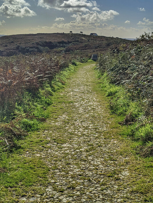 Path descending Tregonning Hill