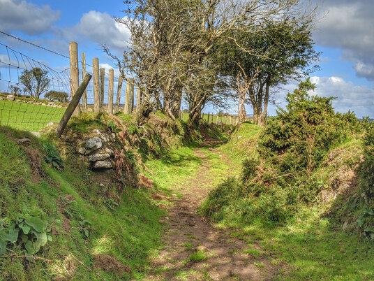 Path from South Trekieve