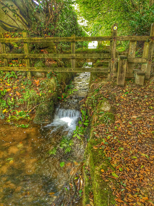 Footpath at Trekieve