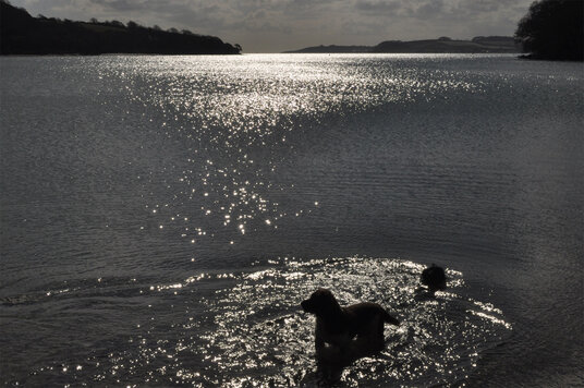 View across the River Fal
