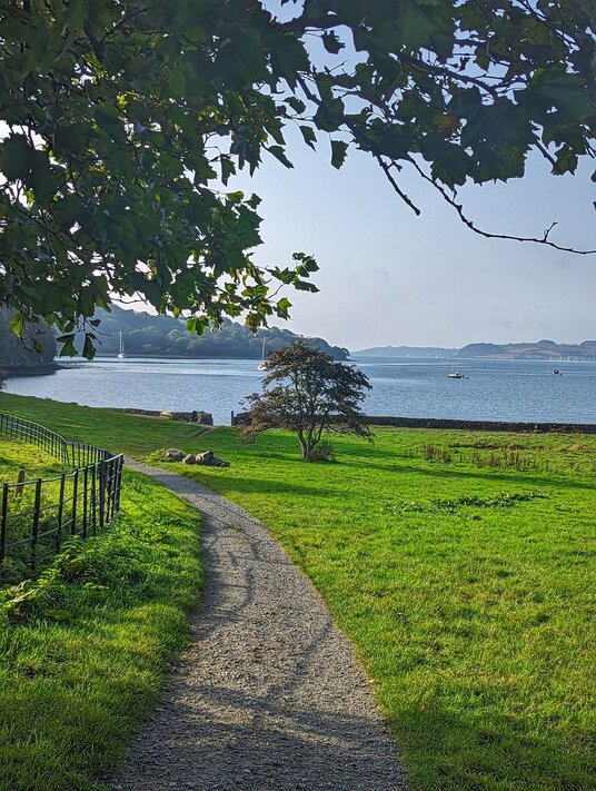 Meadow at Trelissick