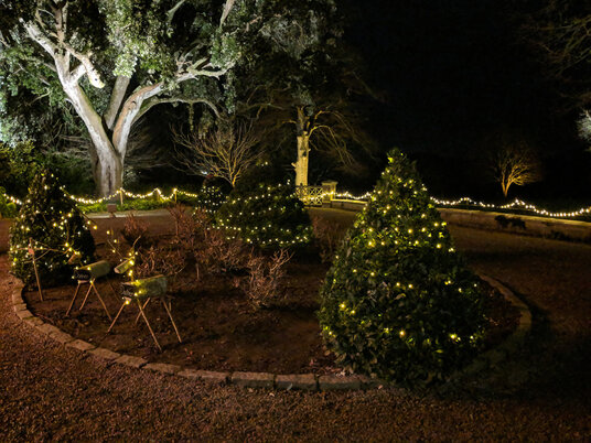 Reindeer at Trelissick