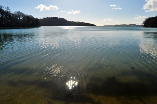 The sheltered creeks of the Carrick Roads
