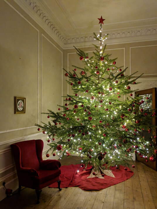 Christmas at Trelissick