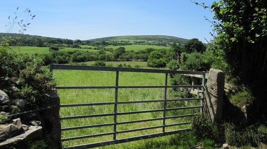 Fields near Trelyn Farm