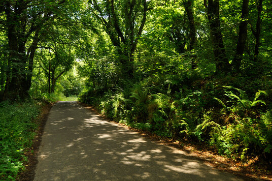 Lane through the Tremore valley