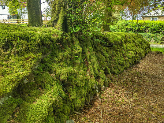 Outside Treneglos churchyard