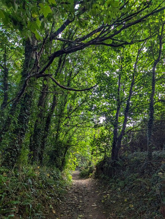 Valley near Trenoweth