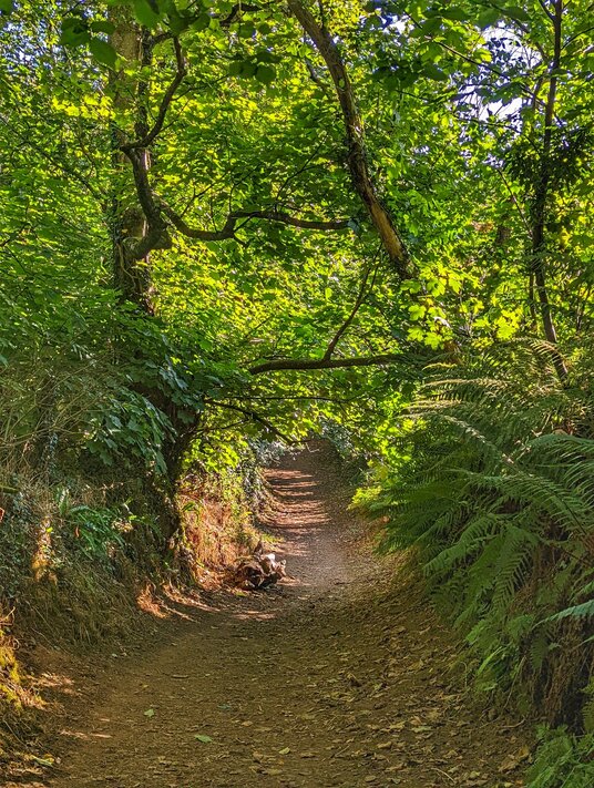 Valley near Trenoweth