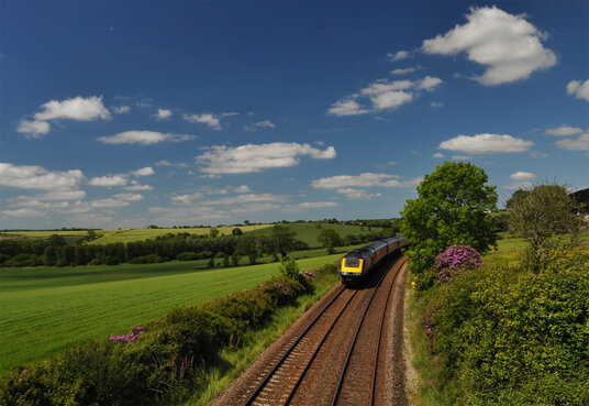 Train to Penzance passing Trenowth