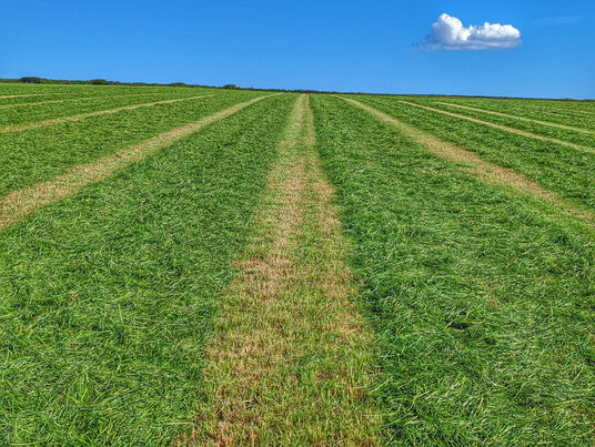 Fields near Treroosel