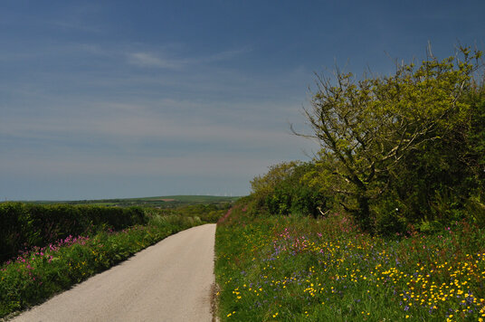 Lane from Tresaddern