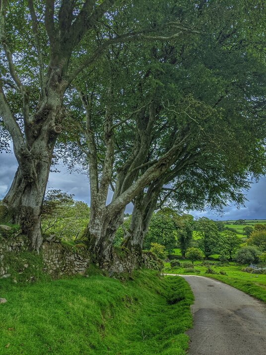 Lane near Tresellern