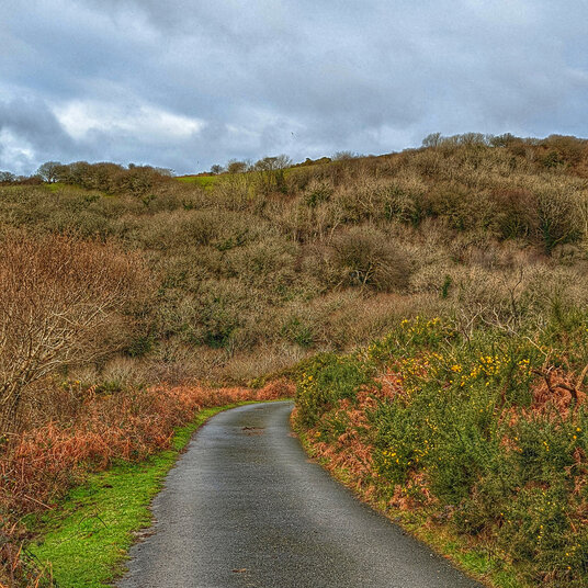 Lane leading from Treslea