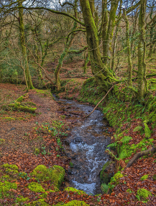 River near Treslea