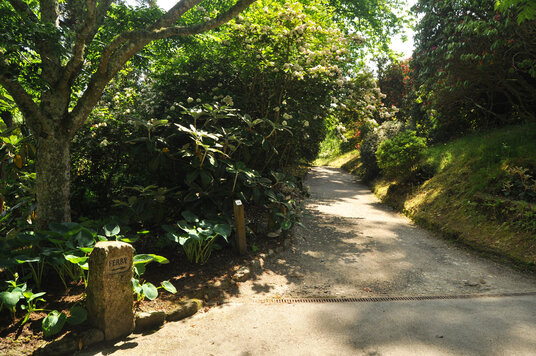 Path from Trelissick Ferry