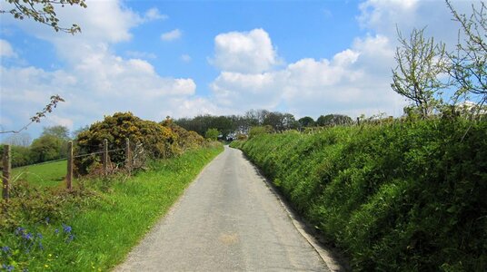 Lane near Trethin