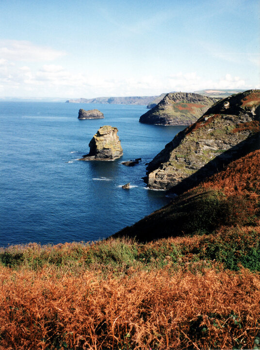 Coastline at Trevalga