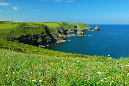 Coastline from Boscastle to Trevalga