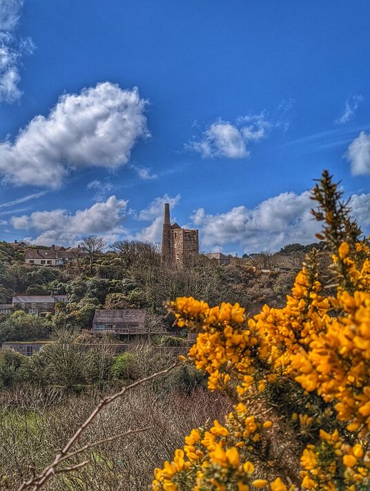 View from Trevaunance Coombe path