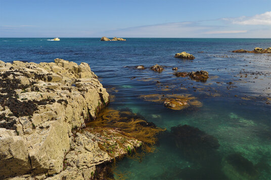 Point at Treveal Cove