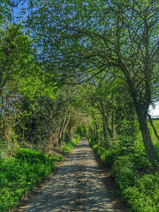 Lane to Trevear