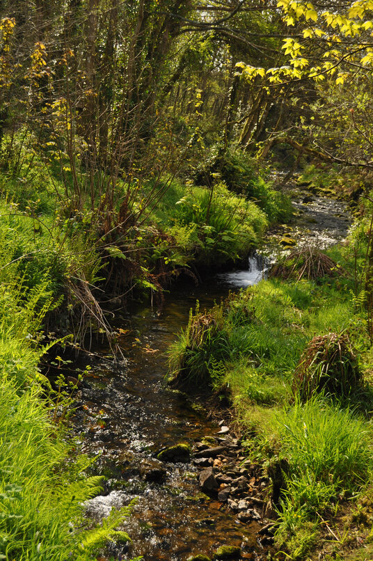 Stream near Jericho Cottage