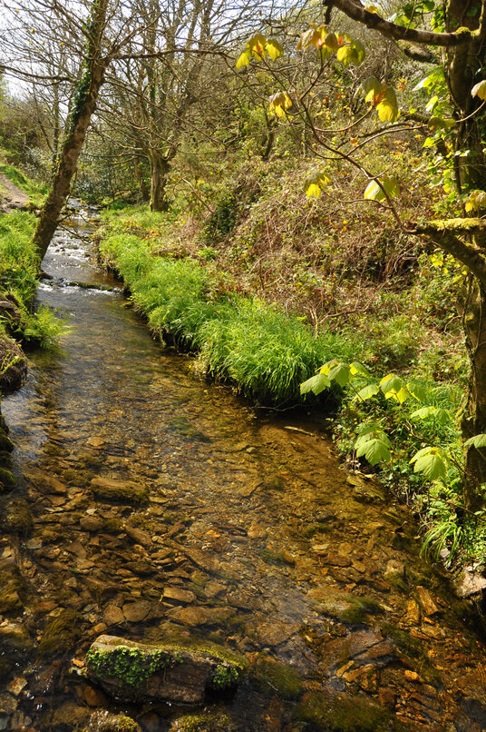 Trevellas Coombe