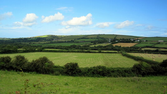 Fields near Trevinnick