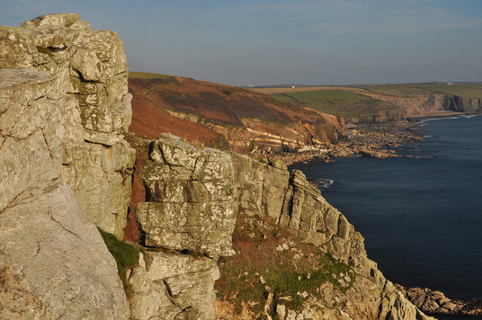 Trewavas head
