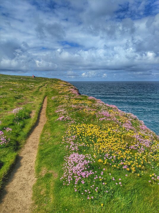 Coast path from Treyarnon