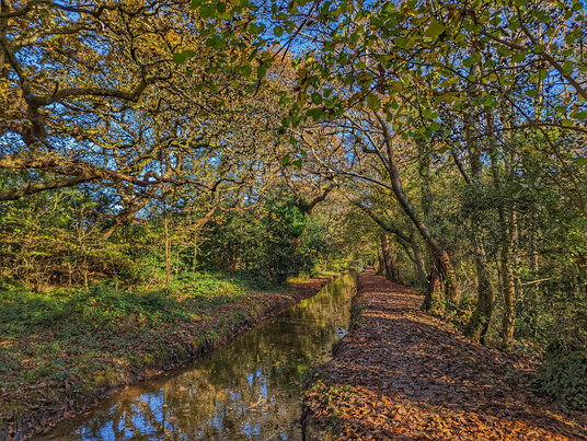 Path along the river