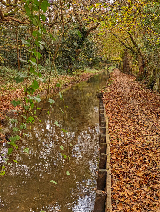 Riverside path in winter