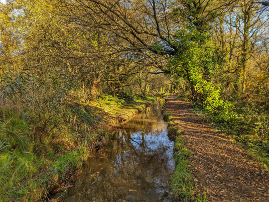 Path along the river at Tywardreath
