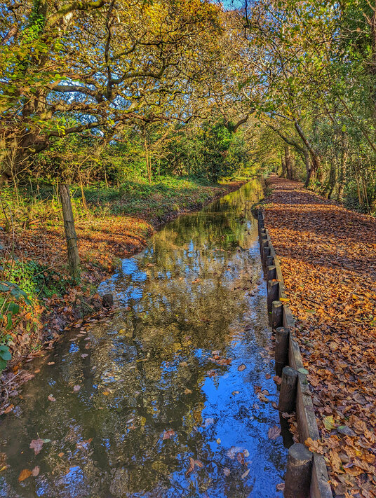 Reflections in the river