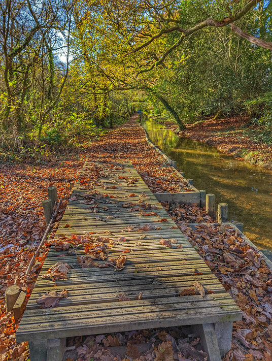 Walkway alongside the river