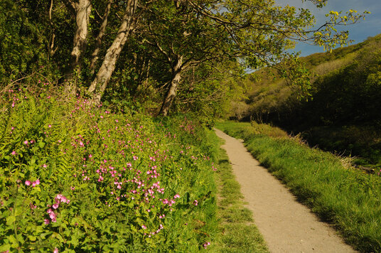 Footpath along the Valency river