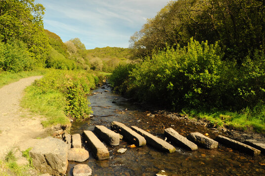 Stepping-stones across the Valency river