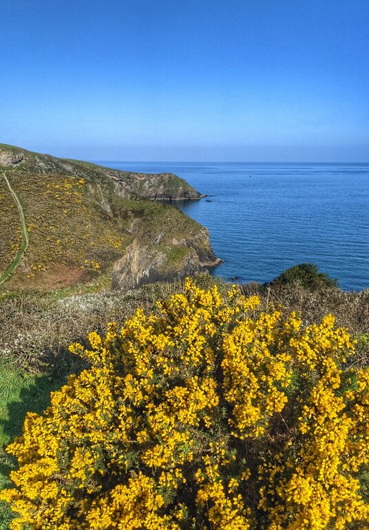 View towards Varley Head
